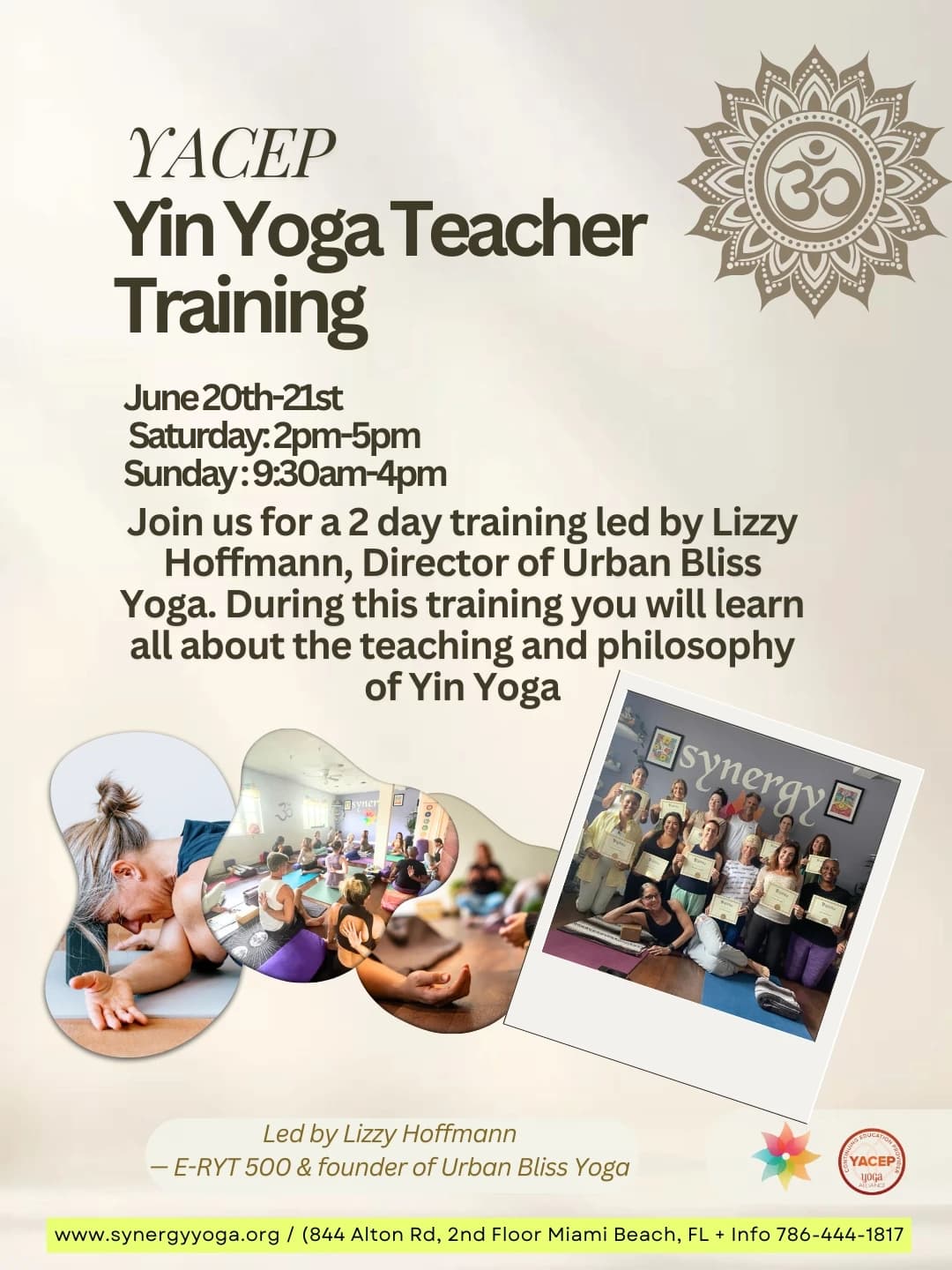YACEP Yin Yoga Teacher Training - Saturday and Sunday, June 20th-21st hosted by Synergy Yoga & Holistic Wellness — workshops in Miami Beach