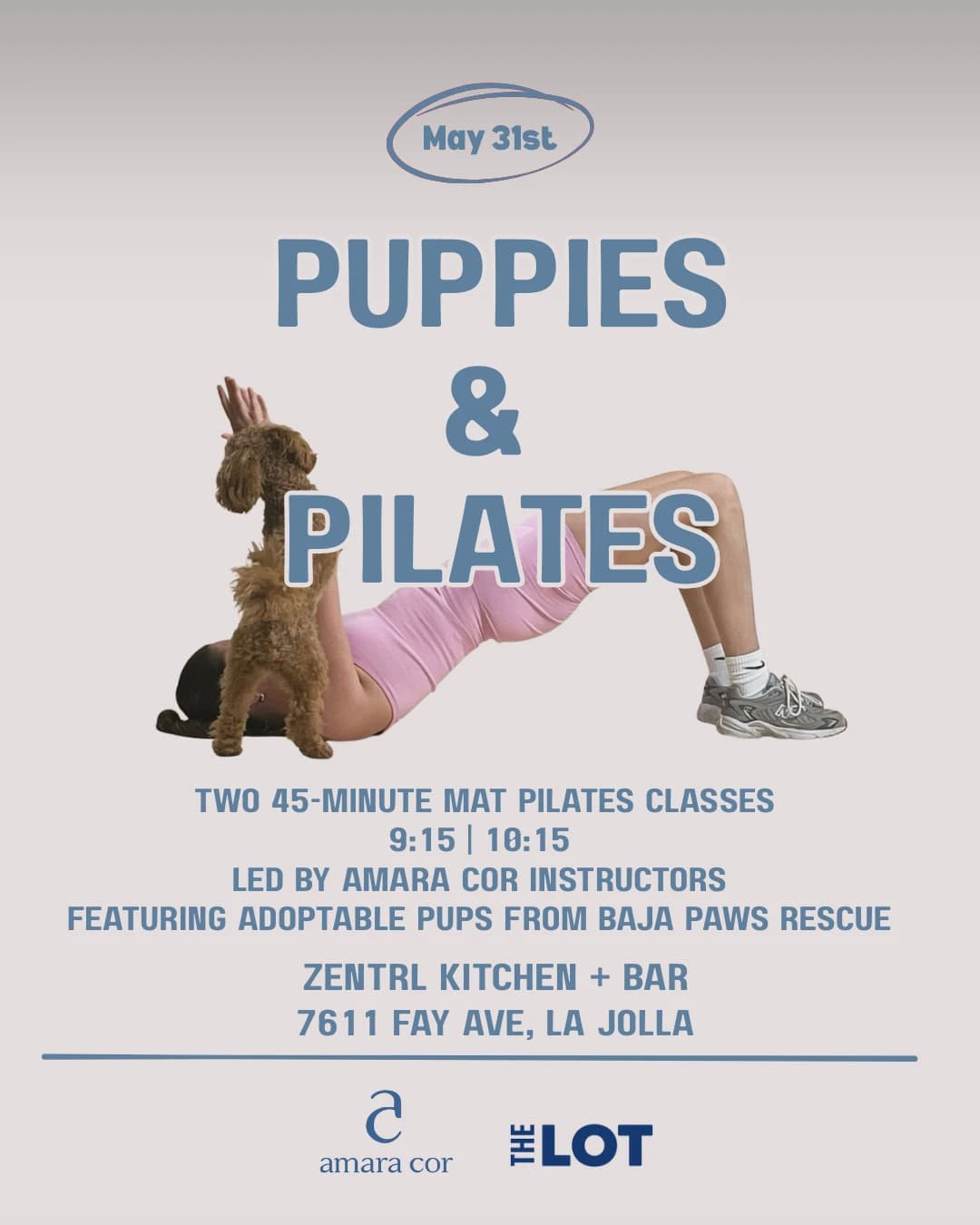 Puppy & Pilates hosted by Amara Cor — social events in San Diego