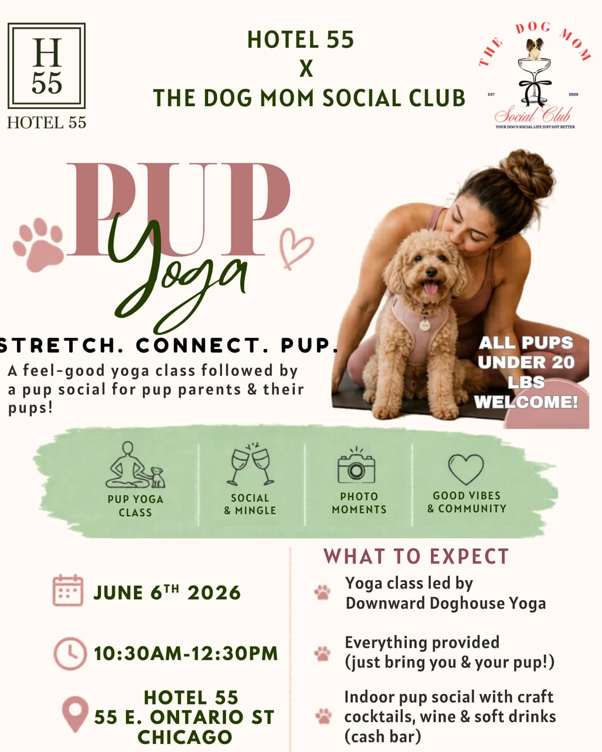 Small Pup Social & Wellness  hosted by The Dog Mom Social Club | ILLINOIS — yoga classes in Chicago