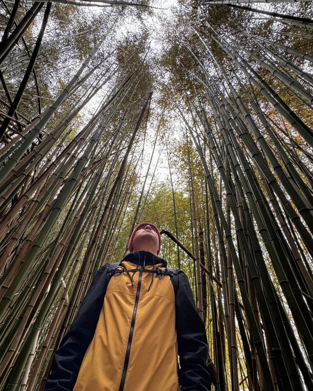 Tuesday Hike: Mills Reservation hosted by OutYork — outdoor activities in New York