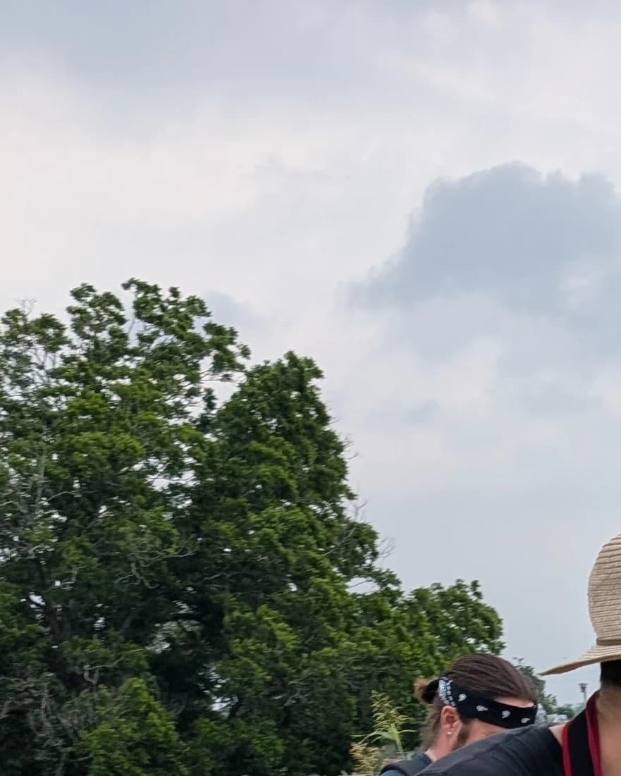 SoBirding  hosted by SoBirding — wellness events in Austin
