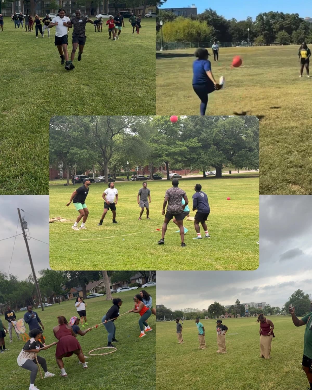 BackyardigansDAL- Adult Field Day🪁 hosted by The BackyardigansDAL — team sports in Dallas