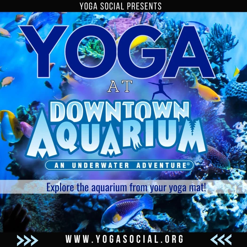 Yoga at the Downtown Aquarium in Denver with Yoga Social hosted by Denver Yoga Social — yoga classes in Denver