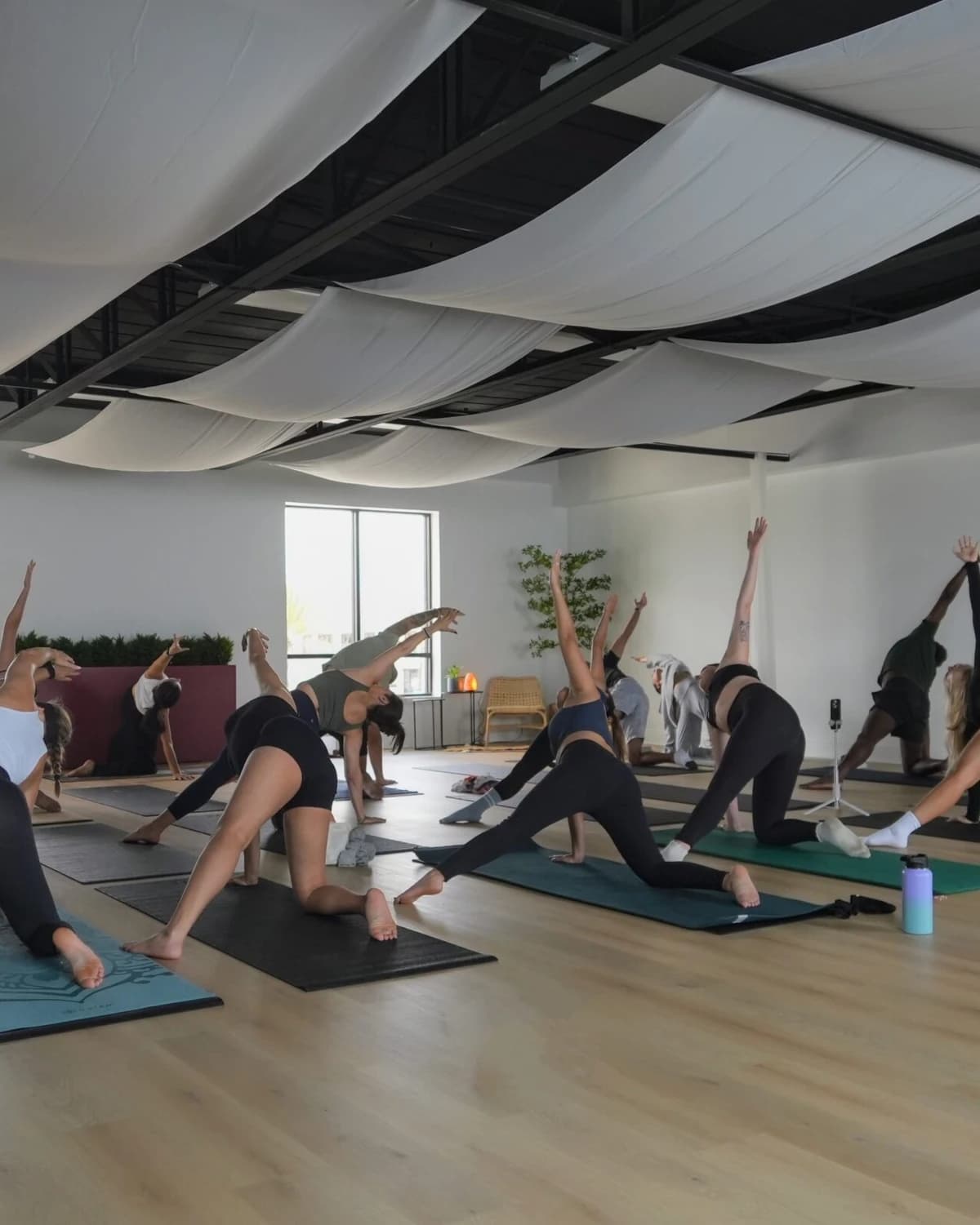 Somatic Movement Therapy Class hosted by Ashley D’Anna — fitness events in Orlando