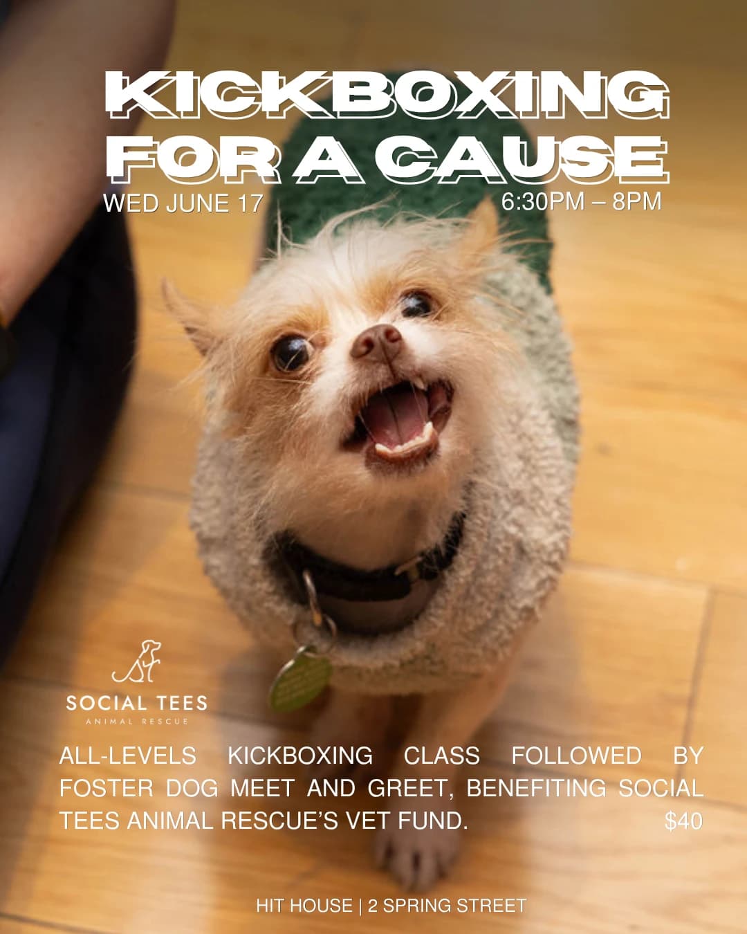Kickboxing for a Cause: Social Tees Animal Rescue hosted by Hit House — fitness events in New York