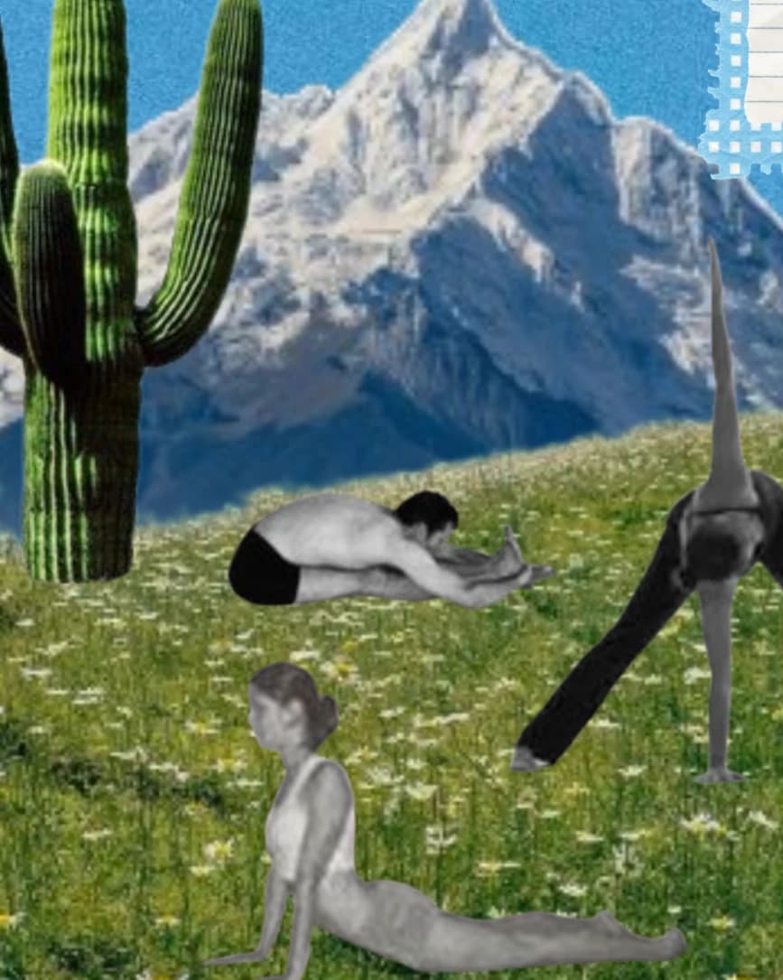 yoga at the park ! hosted by strawberrymvmt | sofi — outdoor activities in Phoenix