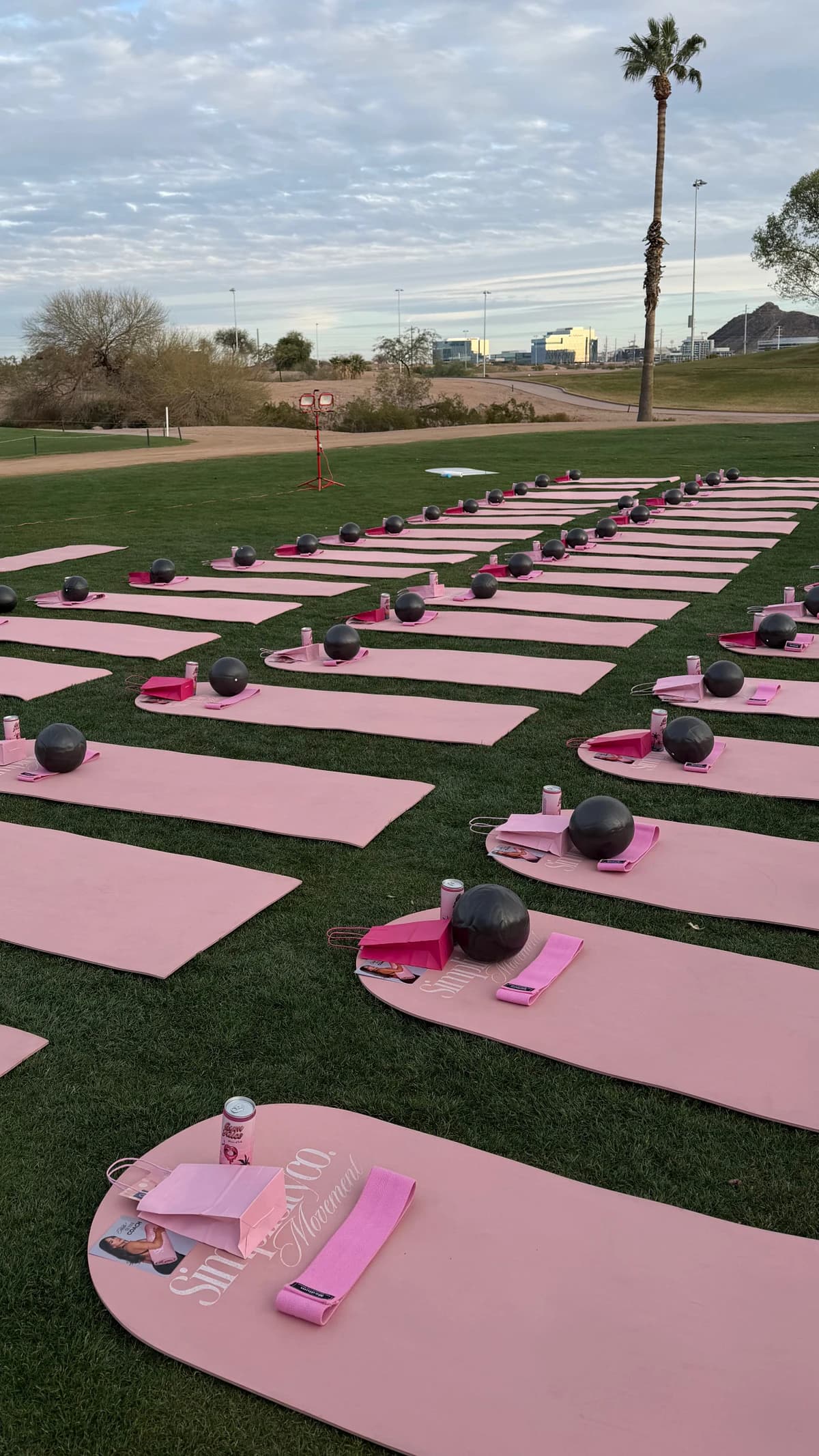 SimplicityCo + Glenrosa hosted by SimplicityCo Movement — fitness events in Tempe